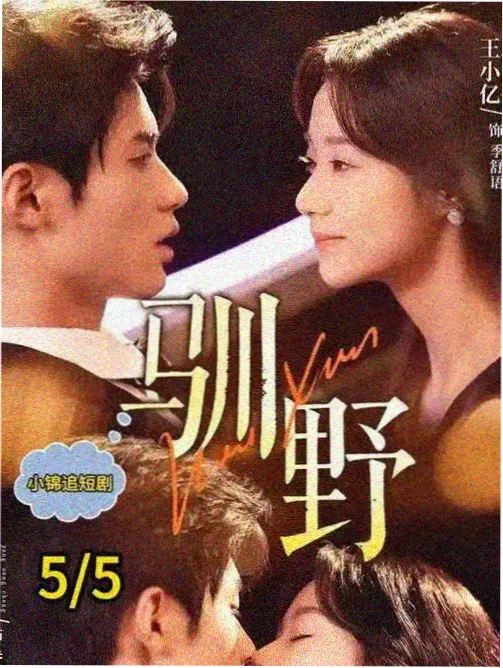 万家灯火剧集海报